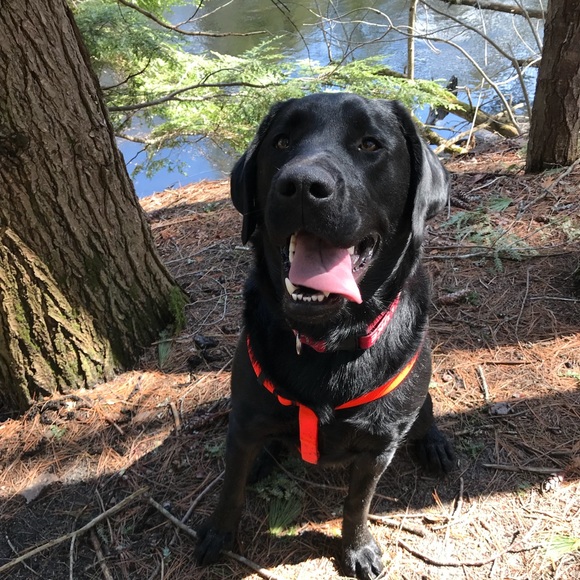 Meet your Posher, Shannon - Picture 5 of 8